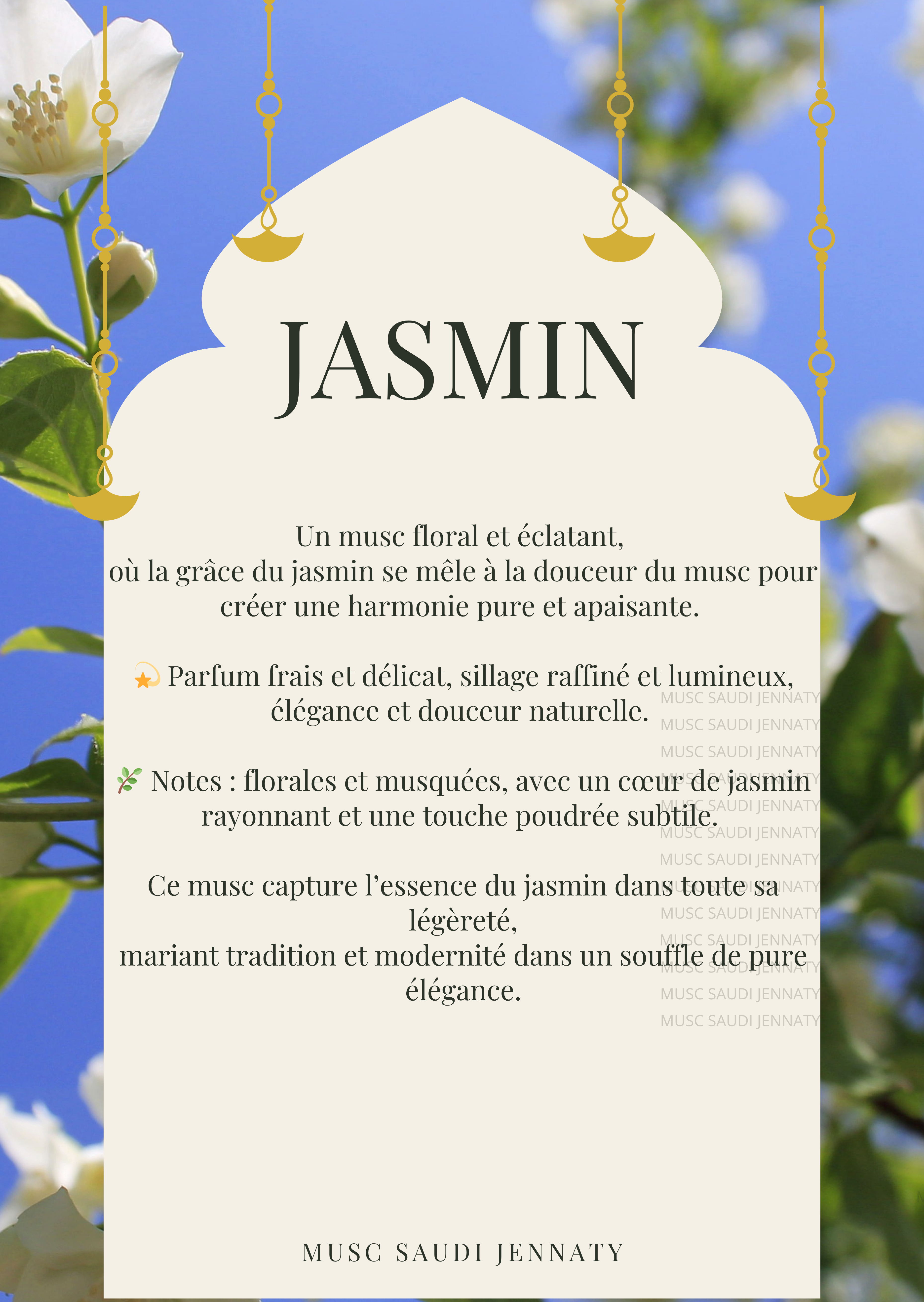 MUSC JASMIN